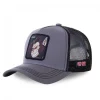 Casquette Capslab Dragon Ball Z Gohan Gris