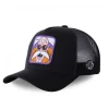 Casquette Trucker Dragon Ball Z Tortue Geniale Snapback Noir Capslab