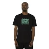 T-shirt Noir One Piece Roronoa Zoro Homme - Capslab
